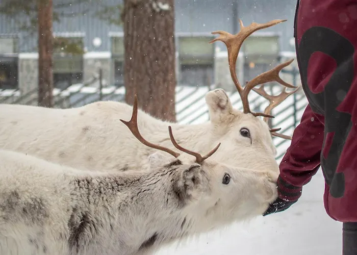 Hotel K5 And K5 Levi